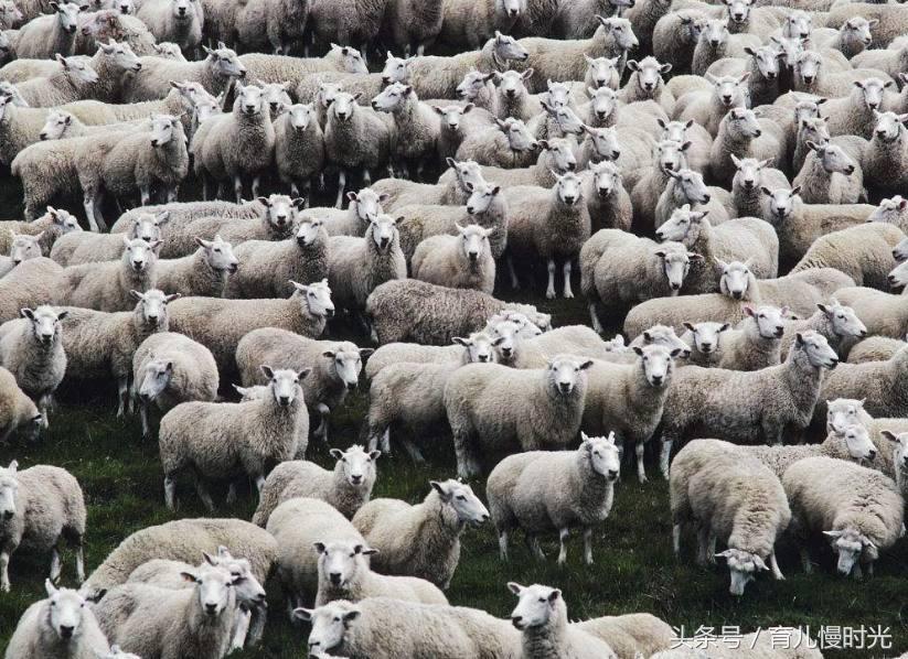 看孩子太磨人！浑身各处疼痛的缓解办法，宝妈和奶奶们快收藏