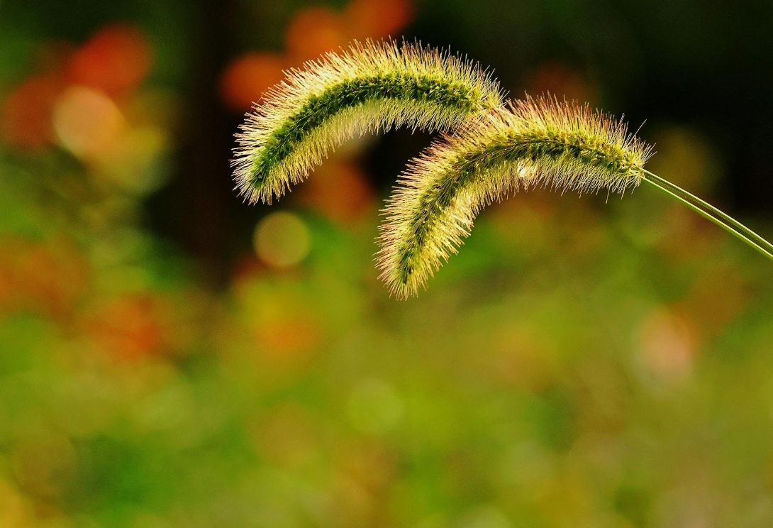 长得丑的励志句子,长得丑的句子经典语录