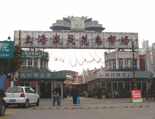 最齐全的全国奇石交易市场 (最真实的奇石市场在哪儿呢)