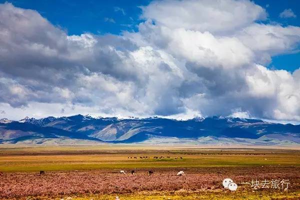 川藏南线和川藏北线的哪个更美好,川藏南线与北线旅游区别