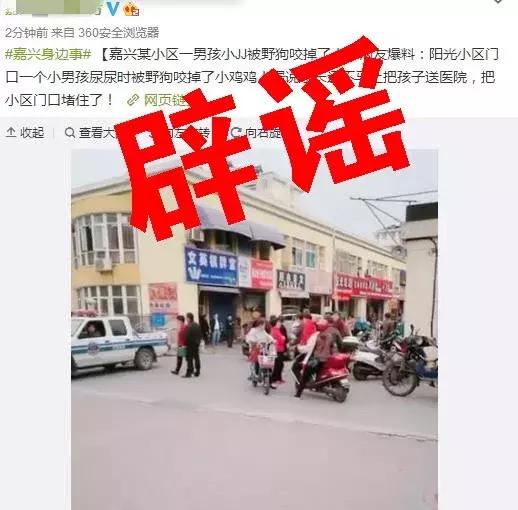 男孩被野狗咬伤37处变成少言寡语,小男孩被野狗咬