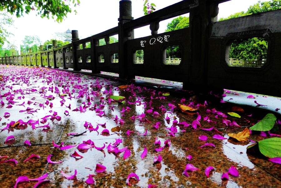 朝暮雨节春耕生，雨淅百花蓑鹭鳜，八首春雨诗词赏析，春雨唤醒…