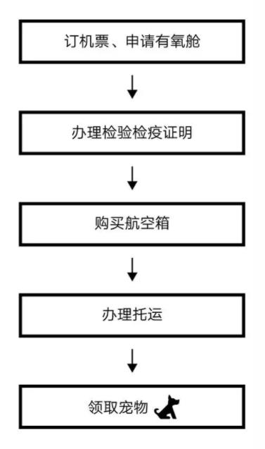 如何把宠物寄回国外呢,怎么把宠物从中国带到美国的流程