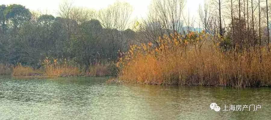 上海新江湾1500万房子,上海新江湾哪个小区最值得买