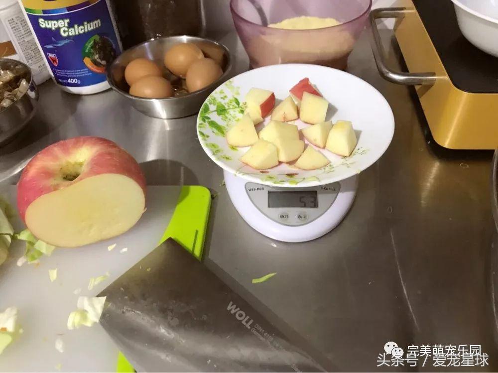 幼犬狗粮自制狗粮教程,怎么给狗自制狗粮器