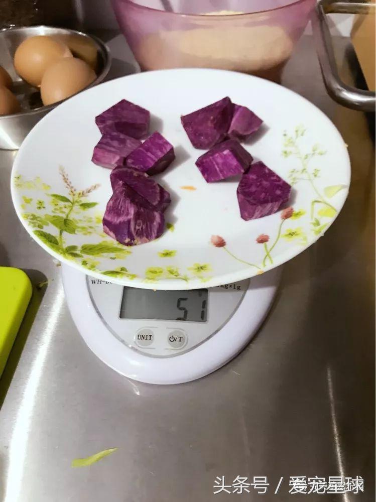 幼犬狗粮自制狗粮教程,怎么给狗自制狗粮器