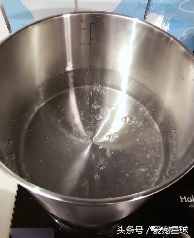 如何自制幼犬去泪痕狗粮视频教程,怎么给狗自制狗粮器