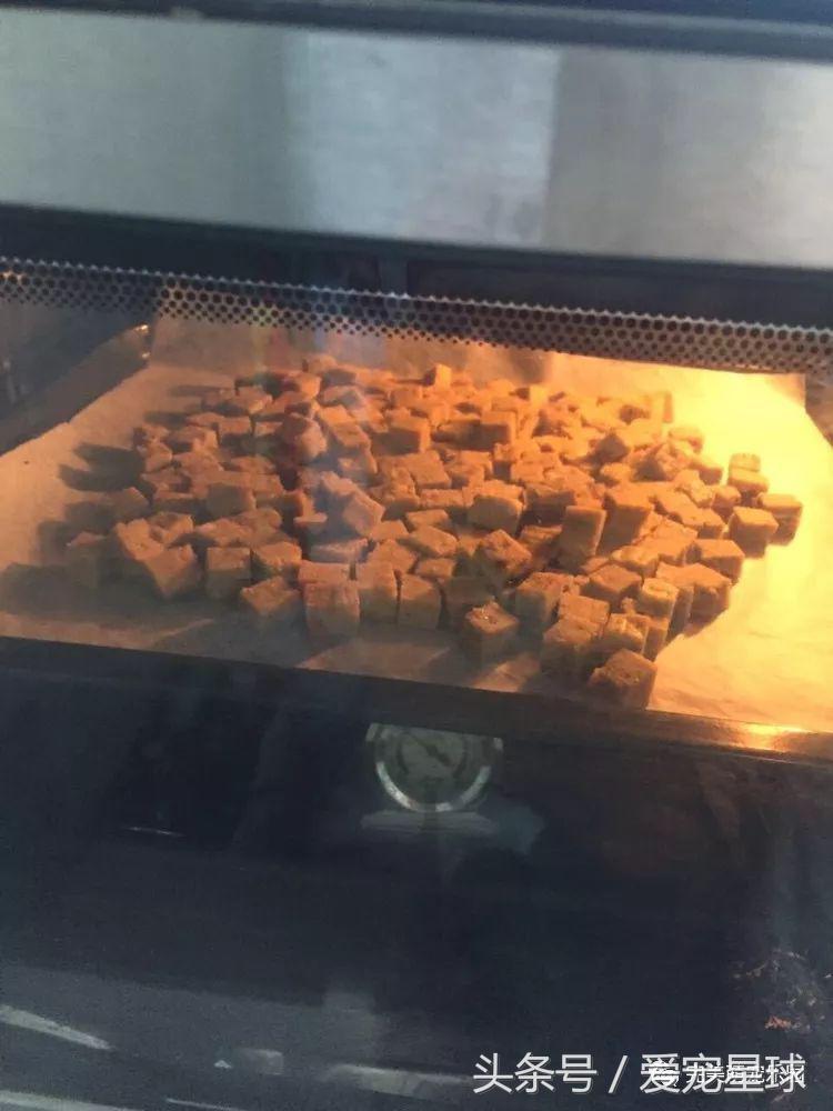 如何自制幼犬去泪痕狗粮视频教程,怎么给狗自制狗粮器