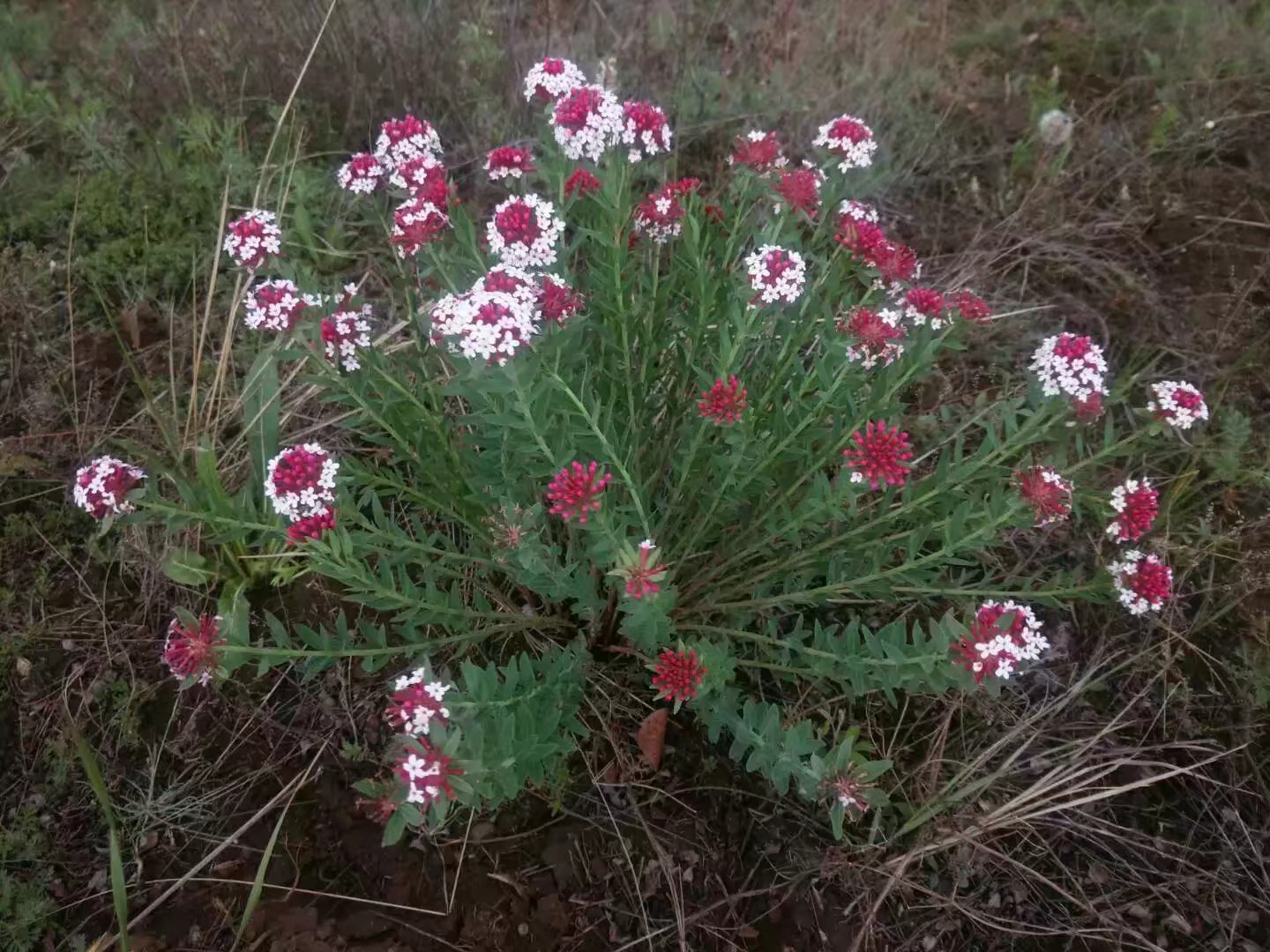 骑车旅行到了呼和浩特，认识一好友受到热情招待