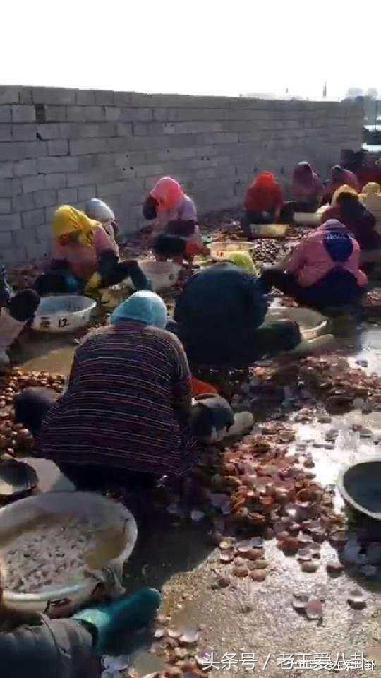 农村贫困中年老妇女干农活,农村的妇女干活