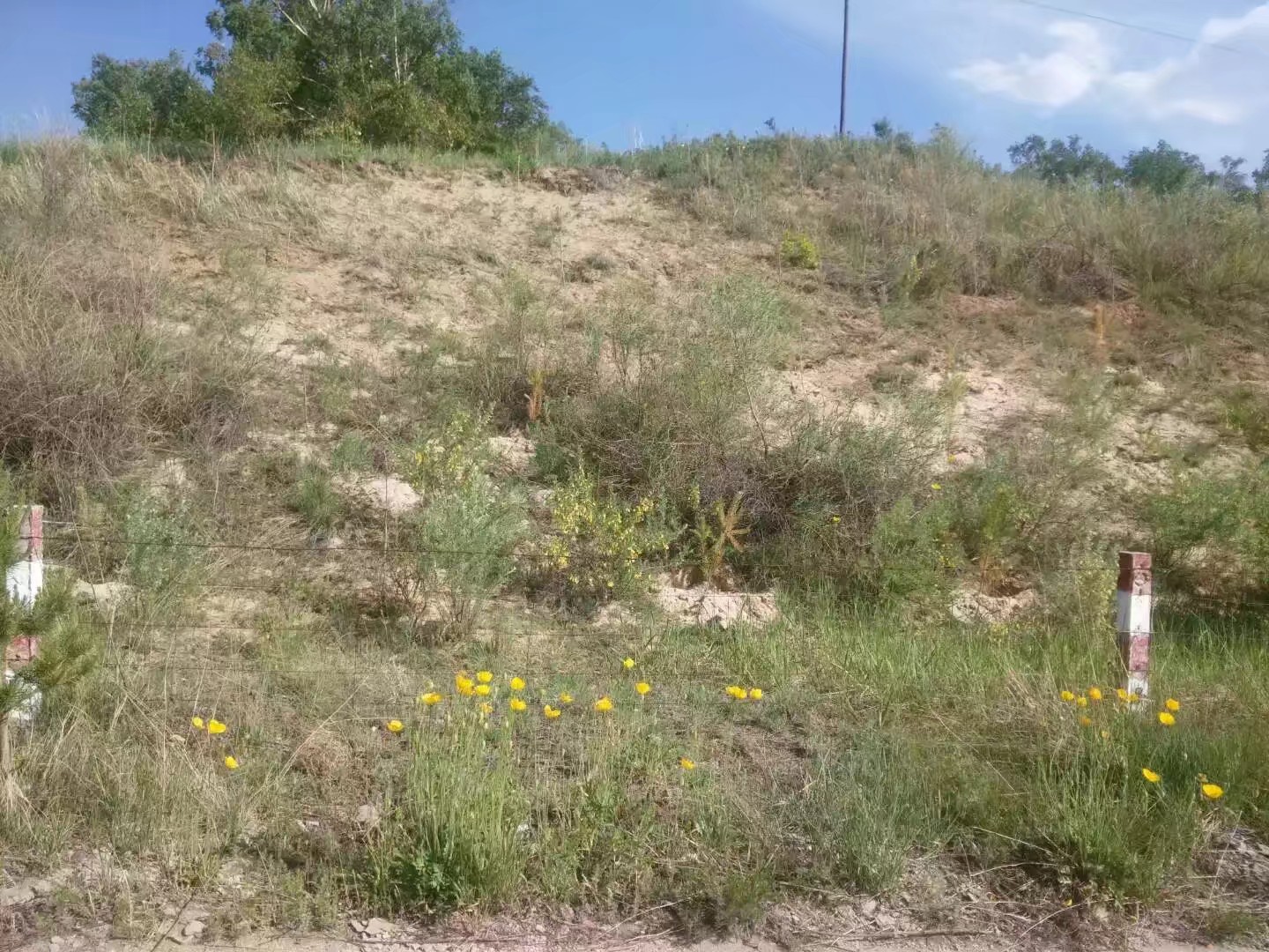 自驾车赤峰到通辽多远,骑行内蒙古331国道