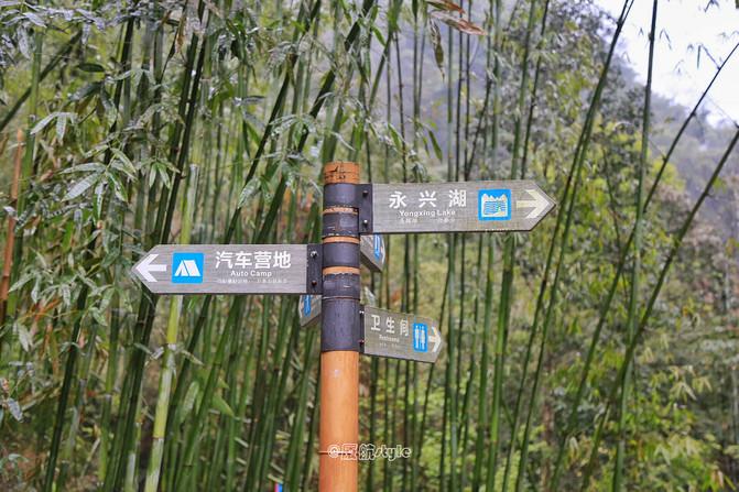 踏春去哪儿,沐川竹海好玩的地方有哪些