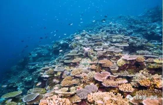 冲绳游玩,冲绳游玩攻略视频