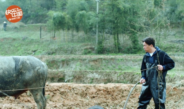 向往的生活不能投屏吗,向往的生活不继续录的原因