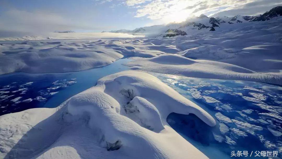 世界地球日，最适合孩子看的18部自然纪录片，趁周末，带娃看起来