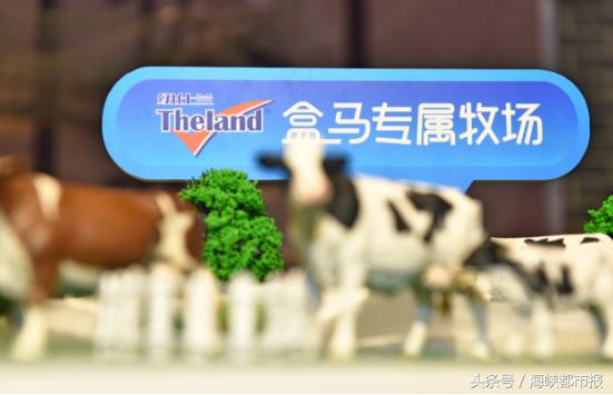 阿里新零售之谜,阿里新零售现状