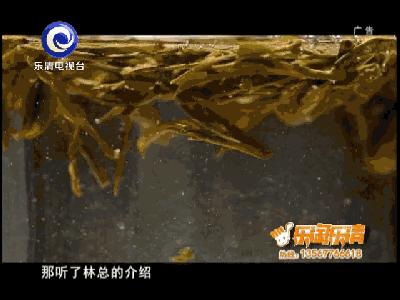 雁荡毛峰茶,黄山毛峰该怎样介绍