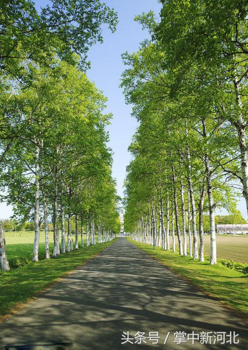 阴道竟然如此美丽