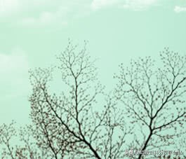 适合大班的好玩的手指操,好玩音乐律动手指操