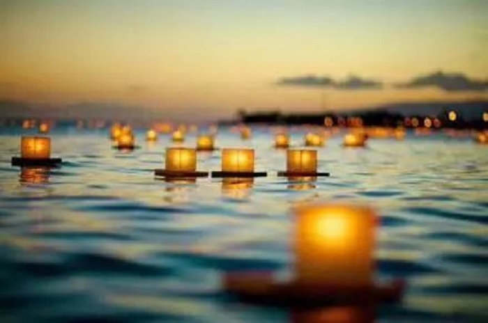 八月的骄阳燃烧绿色的希望,八月的骄阳原唱