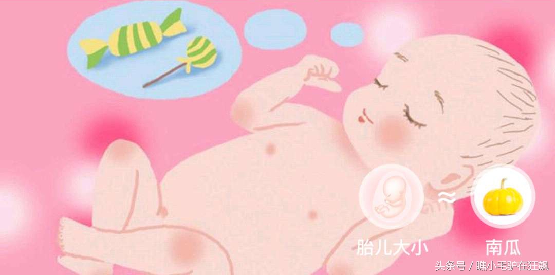 孕期宝宝变化的视频,妊娠第28周胎儿变化