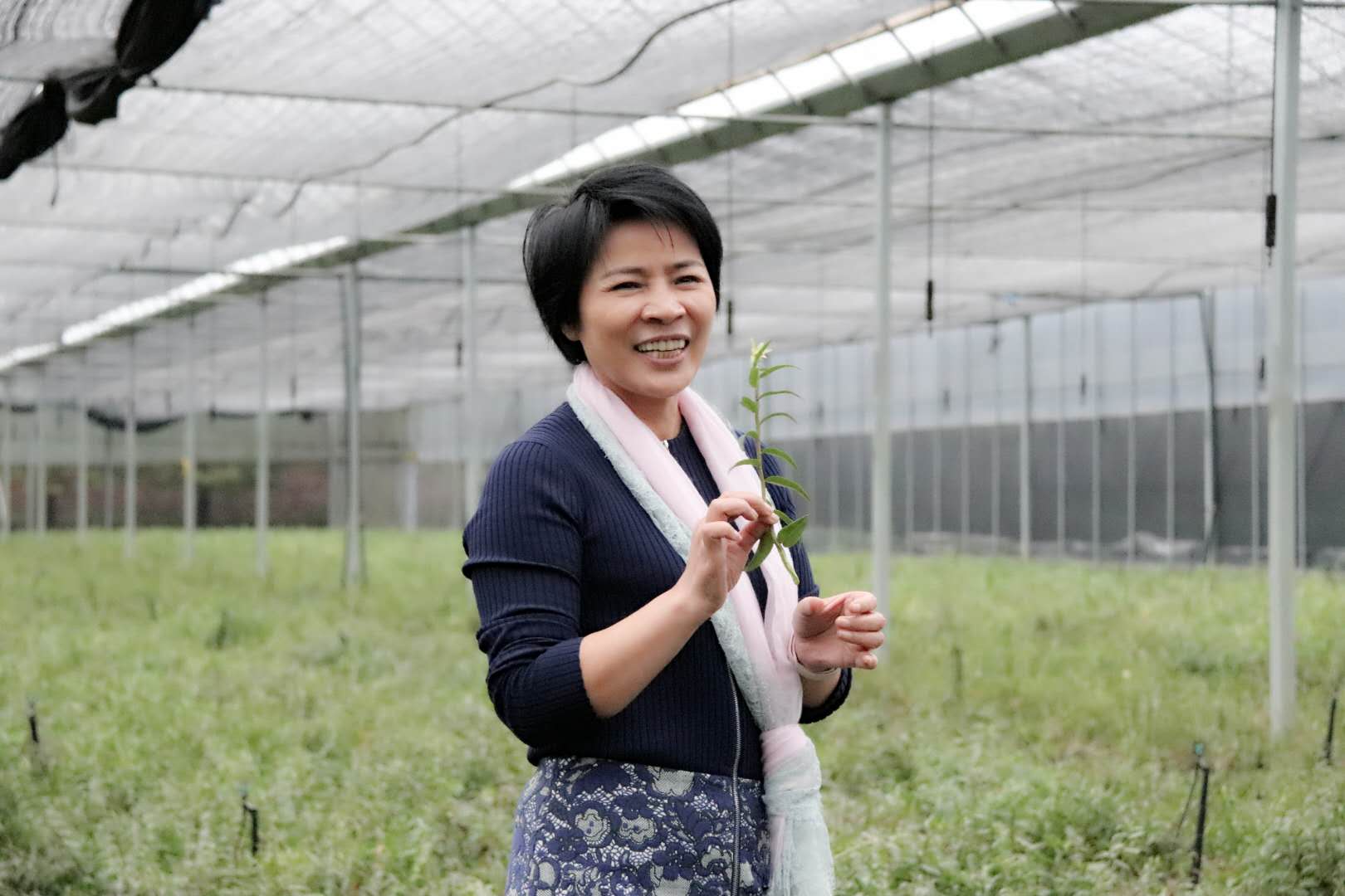 俞巧仙的经商传奇,俞巧仙事迹