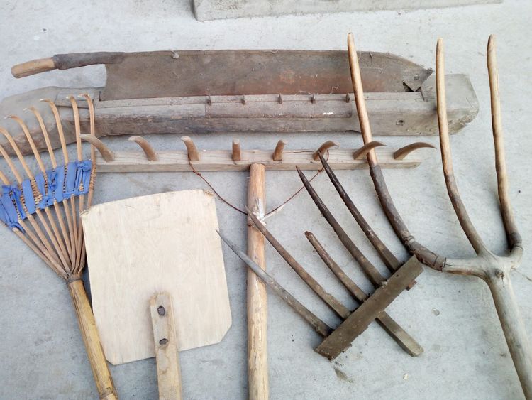 收藏的乐趣在哪里,收藏的乐趣优秀作文