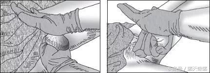 泰国古法抓龙,泰国古法抓龙哪里有