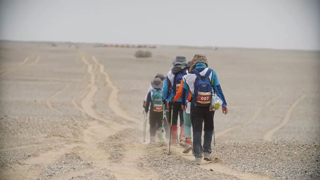 陶冶重庆,陶冶重庆演唱会
