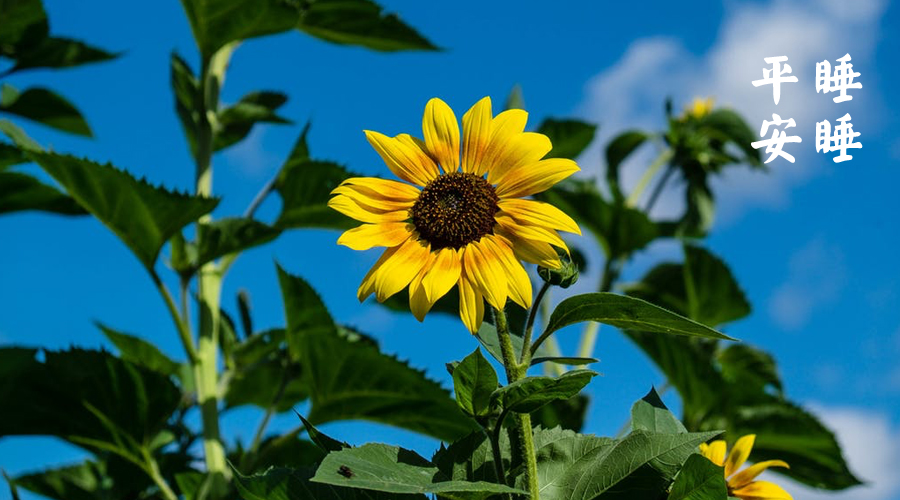 梁冬其实生命不需要那么多东西,梁冬谈人生是注定了的