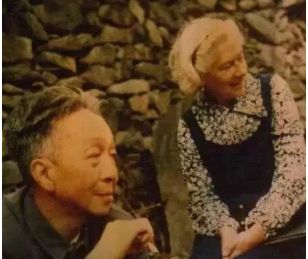 翻译界的伉俪情深——少年执手相约白发