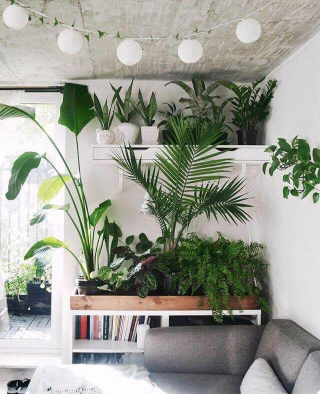 门对厕所的风水怎么解决,风水房门对洗手间门最佳解决方法