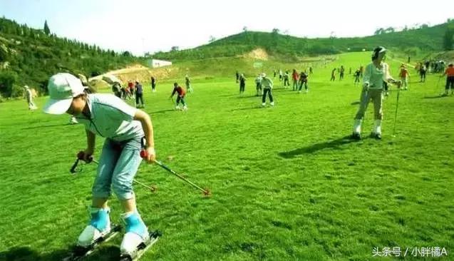 深圳龙岗房价未来5到10年的预测,未来10年深圳各区房价走向