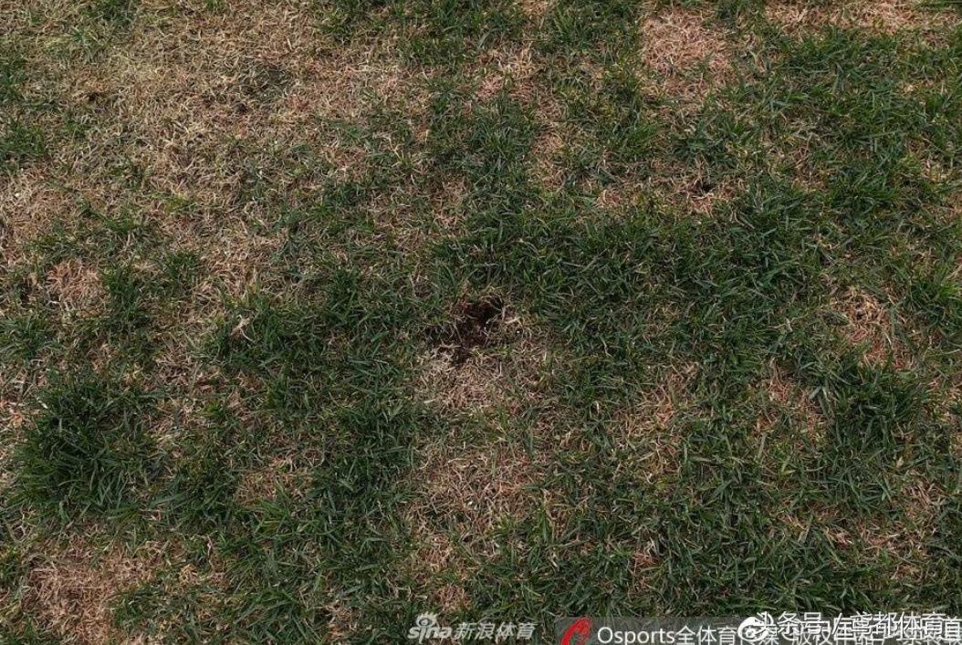 中乙延边北国直播,延边北国队直播