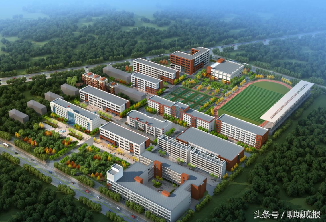 聊城二中光荣榜2020,聊城二中考入清华北大名单