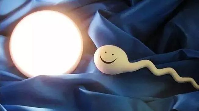 6年流产5次……反复流产元凶何在?