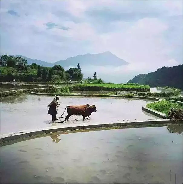 浙江丽水最值得去的地方,丽水旅游景点和美食