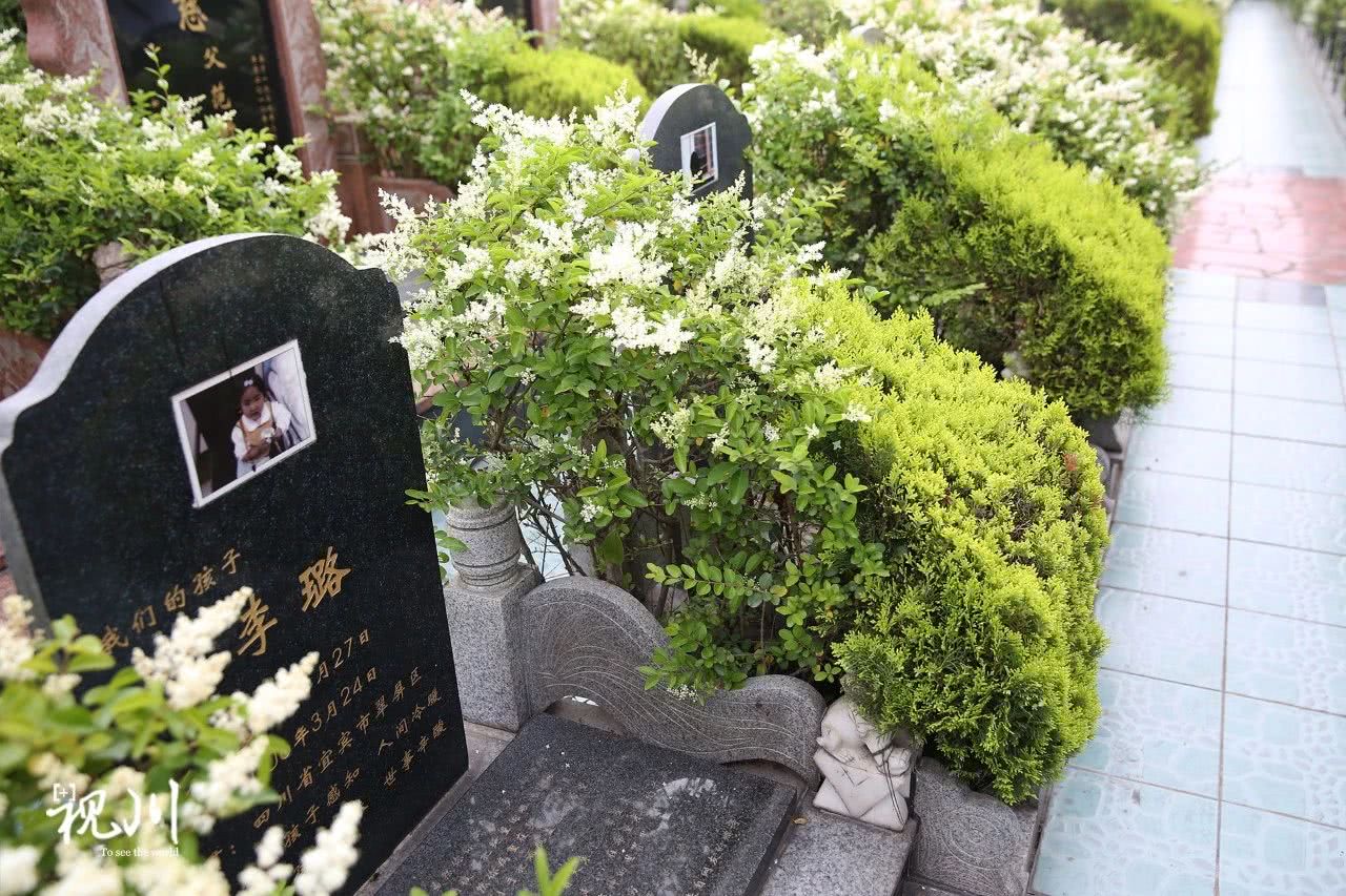 气球葬礼母亲,气球墓园