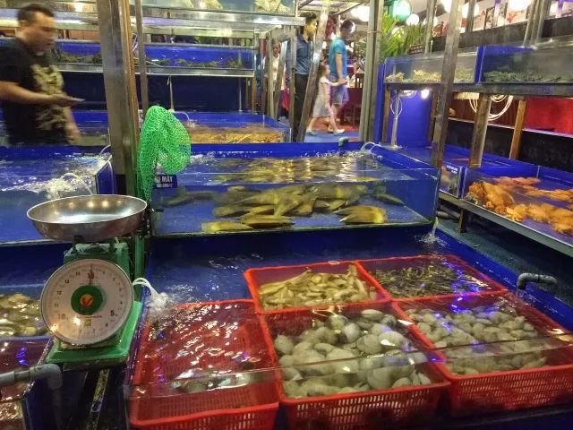 越南旅行之岘港攻略,越南岘港巴拿山风景