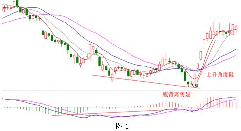 老股民肺腑之言,老股民的感言