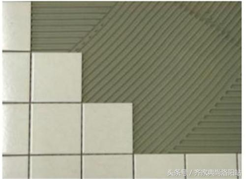 磁砖粘合剂哪个牌子好现在流行,瓷砖粘结剂十大品牌
