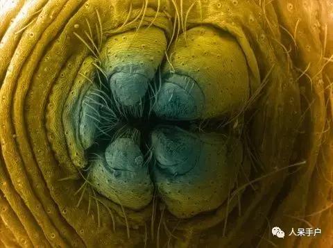 你说蜘蛛侠,蜘蛛侠的蜘蛛丝里有什么