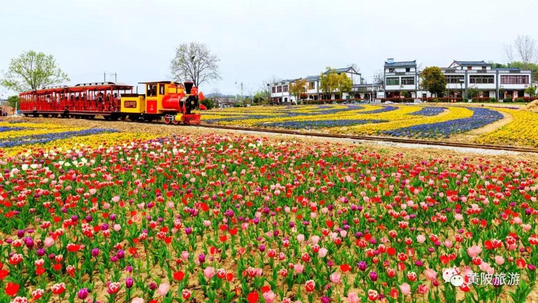 五一期间黄陂人游黄陂景点免费吗,五一黄陂景区免费有哪些