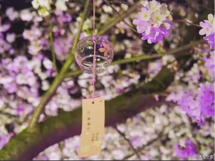 江浙寻花事,东南dx3自驾游