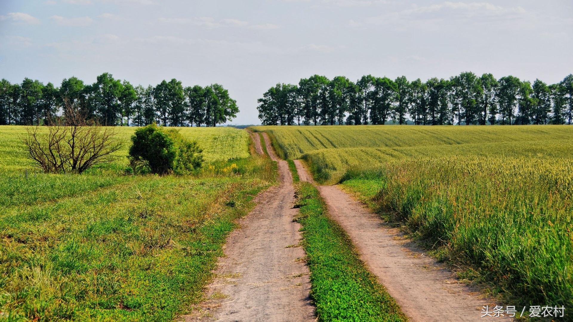 乡村道路通往城市,乡村通往村里的路
