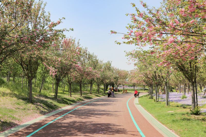 南通旅游攻略必去景点排名,南通紫琅湖公园五一有没有灯光秀