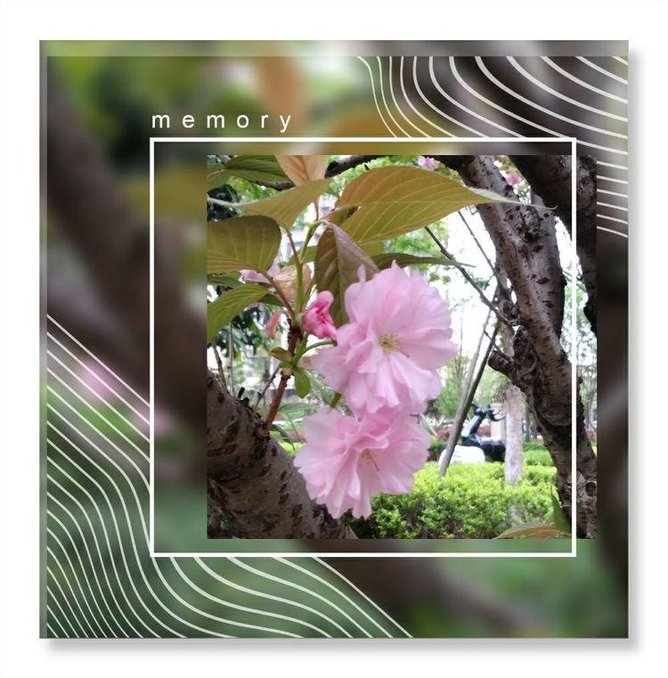 《洞天春》色几多情——（18—7·同韵）