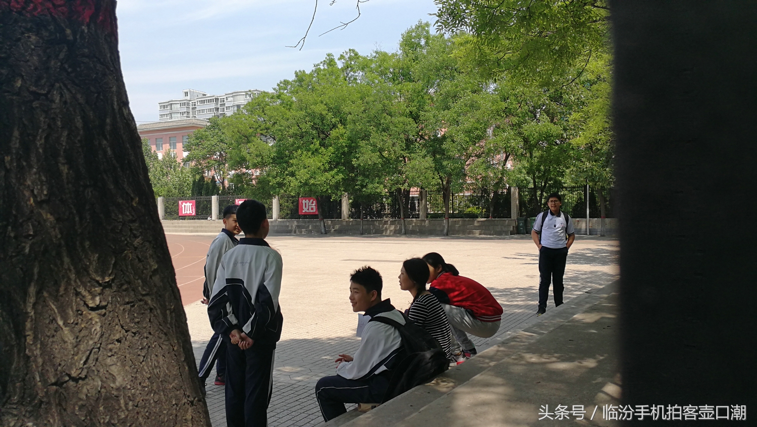 临汾三中校园风光,临汾三中校园