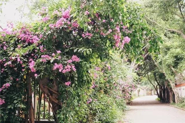 私奔扯证相爱26年，女儿重病脑瘫，仍把生活过成了诗！