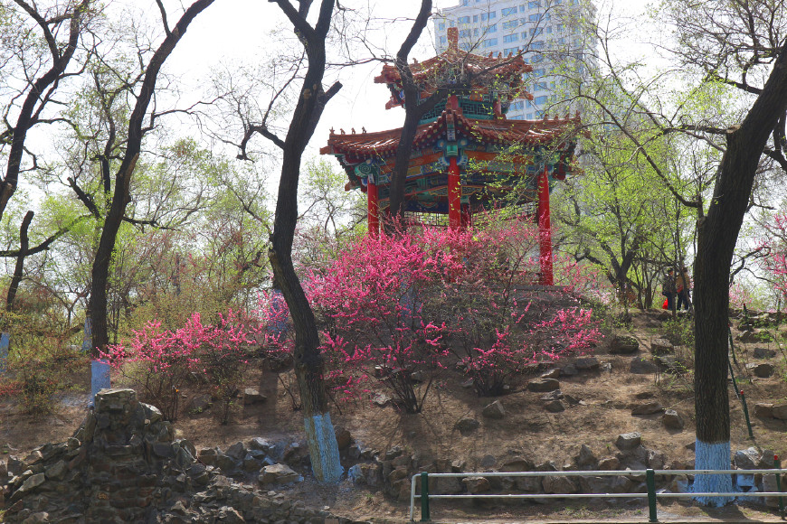 哈尔滨兆麟公园与母校一道之隔，少年时代的顽皮记忆